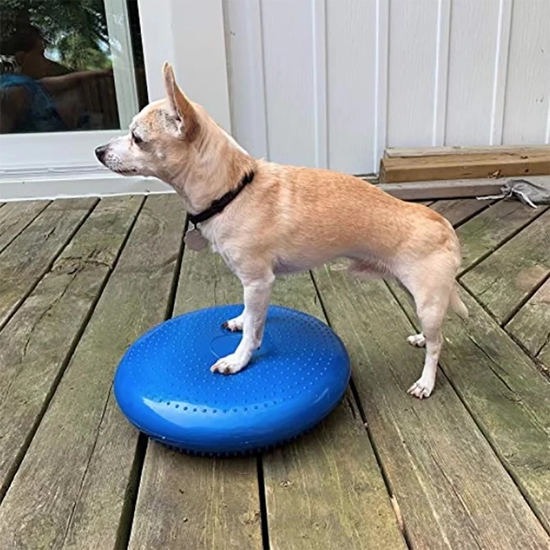 Балансировочный диск-подушка д – обзор и цена Balance Cushion Disc