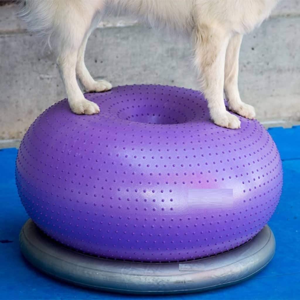 Балансировочная подушка-диск д – обзор и цена Balance Cushion Disc